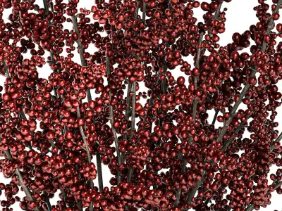 Beautiful bouquet of branches with red Ilex berries 341 3D model