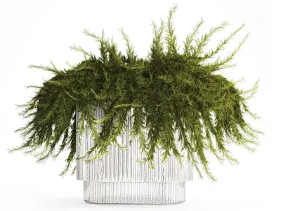 Realistic flower bouquet green juniper branches glass vase 655 3D model