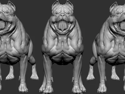 American pit bull terrier model Low-poly 3D model