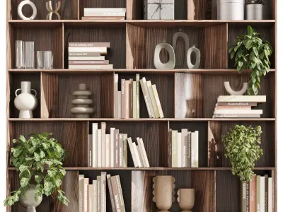 wooden Shelves Decorative With Plants and Book  Low-poly 3D model