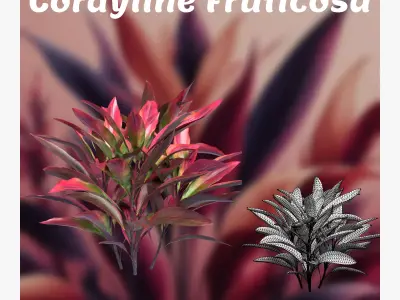 Cordyline Fruticosa Low-poly 3D model