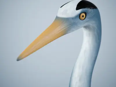 Handpainted Heron Sculpture Low-poly 3D model