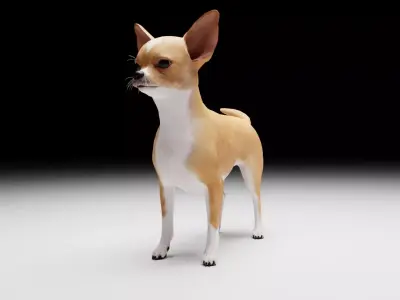 CHIHUAHUA FLEX 3D model