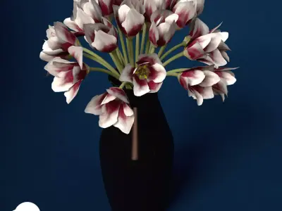 XfrogPlants Tulip 3D model