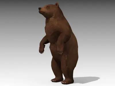 Grizzly Bear Animated Low-poly 3D model