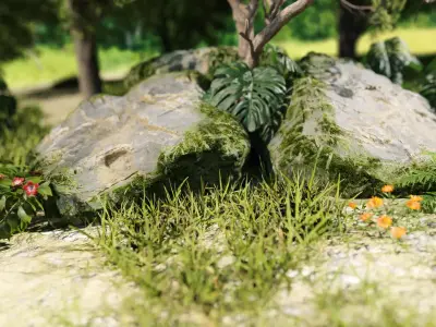 Rock Asset  Free 3D model