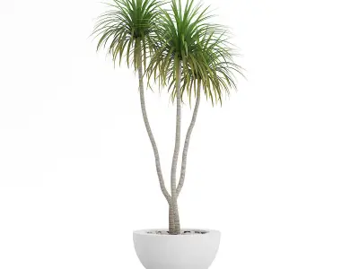 3D Plants IV CGAxis Models Volume 60 FBX OBJ 3D model