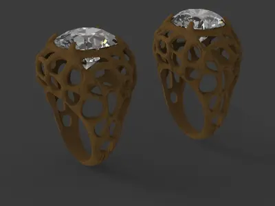2 rings roots 3D print model