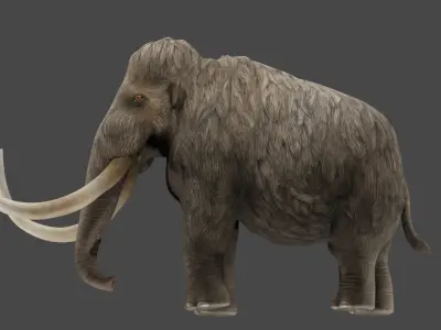 Wooly Mammoth  3D model