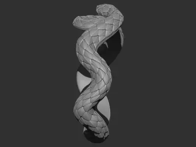 Snake ring 3D print model