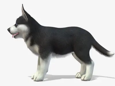 Puppy - Husky Low-poly 3D model