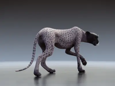 Cheetah - only body with textures and shading 3D model