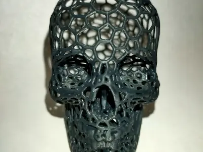 Voronoi Skull  3D print model