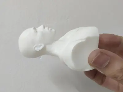  Micheal Jordan 3D Printable 5 3D print model