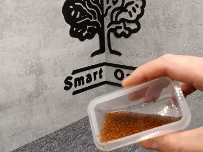 Egg for cress or other sprout Jajko na rzezuche 3D print model