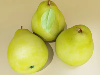 Pear High Resolution 3D model
