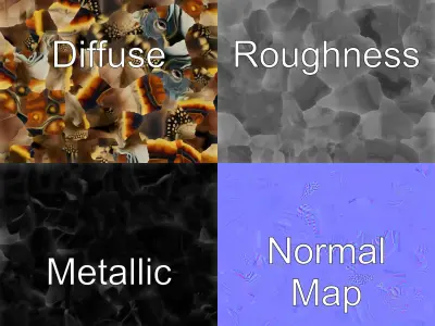 Spiny Softshell Turtle Detailed D Model Pack Low-poly 3D model