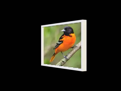 double sided image Low-poly 3D model