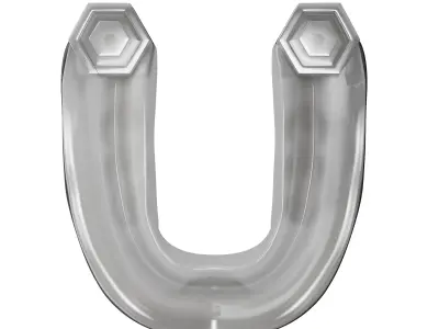 Everlast EverShield Mouthguard 3D model