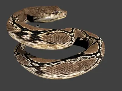 lowpoly snake python Low-poly 3D model