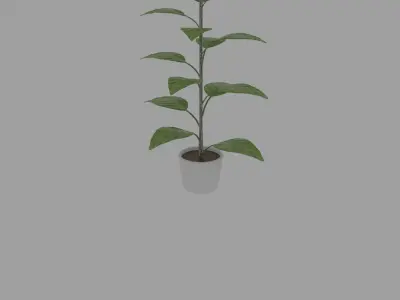 Small decorative pot tree 3D model