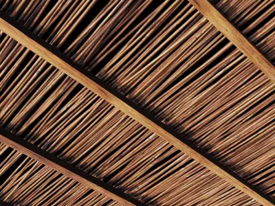 Ceiling thin branch crooked n1 3D model