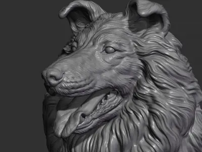 Collie Dog head 3D print model