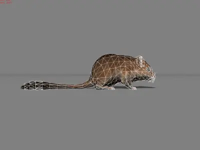 Sand Mouse Animal Low-poly 3D model
