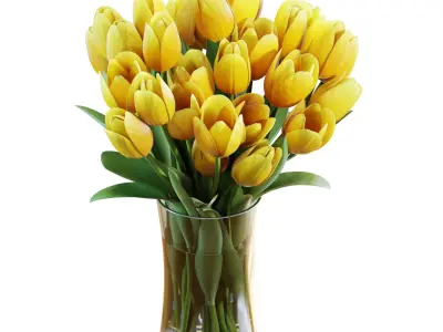 Flower Set 26 - Yellow Tulips Bouquet 3D model