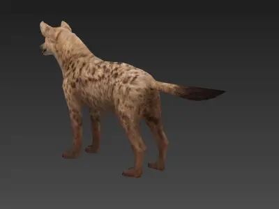 Hyaenidae hyena Low-poly 3D model
