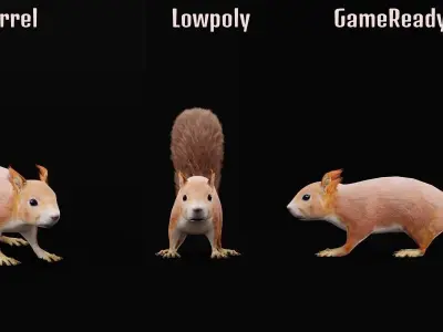 Red Squirrel Low-poly 3D model