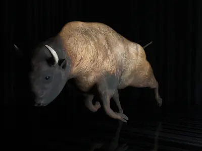 Bison rigged Low-poly 3D model