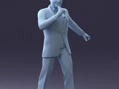 000118 Singer 0202 3dp 3D print model