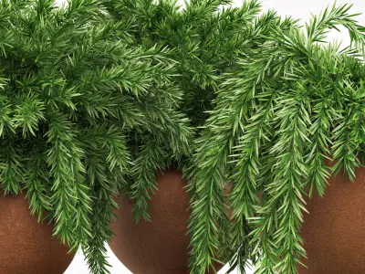 Outdoor Plants tree 02 3D model