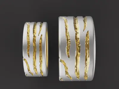 Claw Rings 52668 3D print model