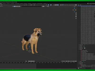 German Sheprador Dog Low-poly 3D model