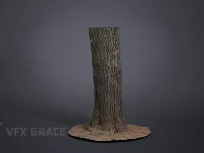 Apricot tree 002 3D model