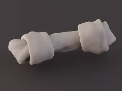 Photoscanned Realistic Dog Bone 3D model