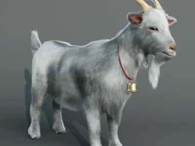 Goat realistic Low-poly 3D model