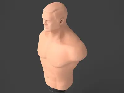Punching Mannequin 3D model