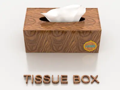 LUXURY DESIGN TISSUE BOX 3D model