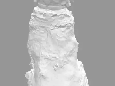 Cocker spaniel 3D model