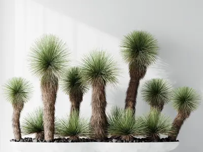 HQ Plants Yucca Elephantipes Queretaroensis Set01 3D model