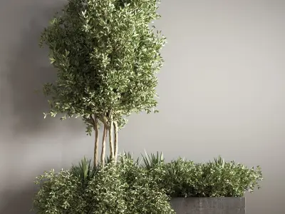 outdoor plant set 08 3D model