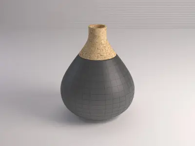 CERAMIC VASE---Cork tip 3D model