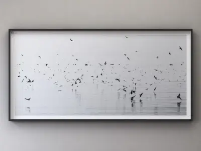 RH NATHAN DEHART UGANDA BIRDS 3D model