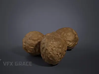 Walnut 001 3D model