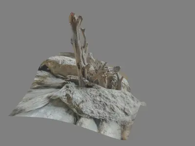 Dead tree on a rock Free low-poly 3D model