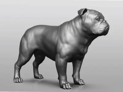Dog breed collection  8 types of dogs 3D model
