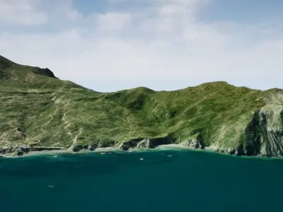Santa Catalina   Landscape Unreal Engine 5 Free 3D model